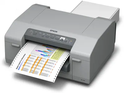 Замена памперса на принтере Epson C831 в Перми